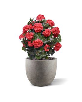 Planta artificiais de bola de gerânio 50cm vermelho UV