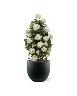 Gerânio artificial pirâmide 110cm planta UV creme