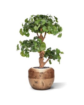 Árvore artificial Ginkgo Bonsai deluxe 95cm