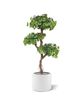 Ginkgo Bonsai árvore artificial 150cm