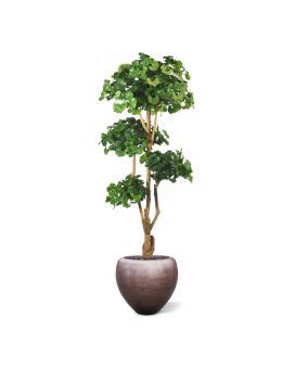 Ginko Bonsai árvore artificial de luxo 170cm