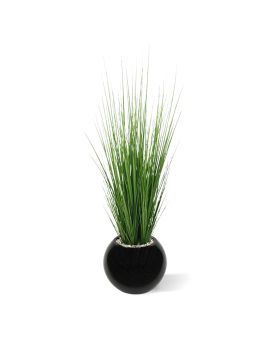 Planta de relva 100 cm em vaso