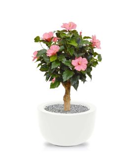 Planta de arte de Hibiscus sobre base 65cm - cerise