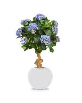 Hydrangea Deluxe sobre tronco 90 cm azul