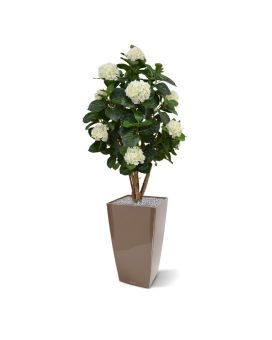 Hortensia em creme de 110 cm de tronco