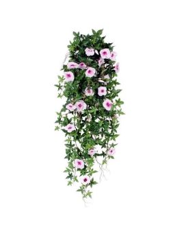 Planta Petúnia de rastreio 100cm rosa