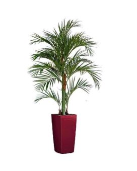 Areca palma artificial deluxe 180cm