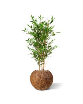 Planta artificial japonesa de bambu 120cm - resistente aos raios UV