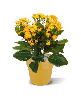 Planta artificial Kalanchoe 30cm - laranja