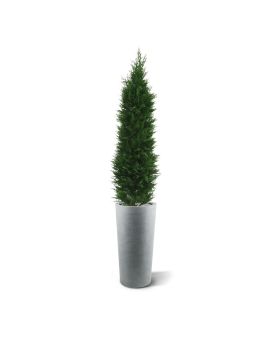 Artificial Conifer deluxe 150cm - resistente aos raios UV