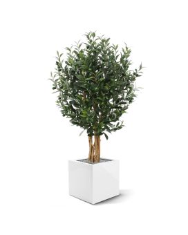 Azeite artificial de luxo 120cm