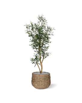 Oliveira Artificial promo 120cm