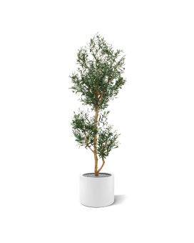 Oliveira Artificial promocional 180cm