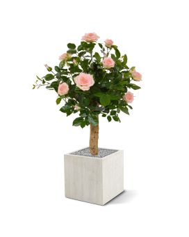 Rosa artificial no caule 75cm - rosa