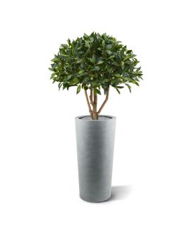 Bola de louro em planta artificial de caule 70cm
