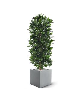 Coluna de louro planta artificial 125cm - resistente aos raios UV