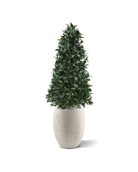 Pirâmide de Laurel Pyramid deluxe planta artificial 150cm