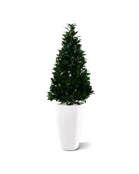 Planta artificial Laurel Tower 115cm