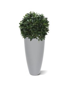 Louro de louro XL planta artificial 60cm