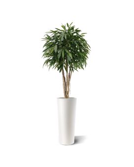 Árvore artificial de luxo Longifolia ball deluxe 180cm