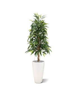 Longifolia árvore artificial Real 150cm