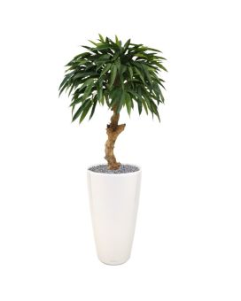 Longifolia Royal árvore artificial no caule 90cm