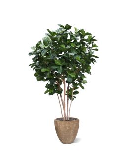 Árvore artificiais Lyrata gigante de luxo 420cm