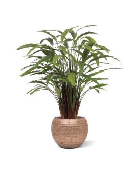 Planta artificiais Calathea de luxo 115cm