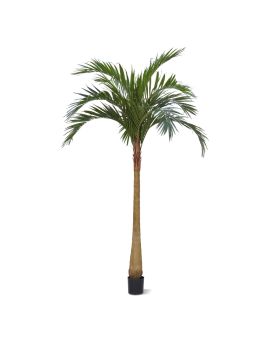 Palma artificial de majestade x10 YG-Trunk 300cm