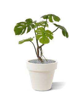 Planta artificial Monstera 50cm