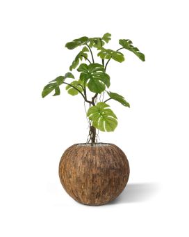 Planta artificial Monstera 90cm