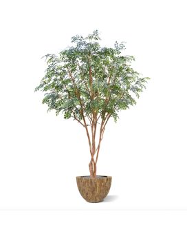 Árvore de Murraya artificial de luxo XL 325 cm