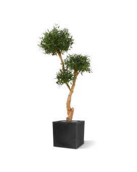 Oliveira Bonsai deluxe x3 árvore artificial 160cm