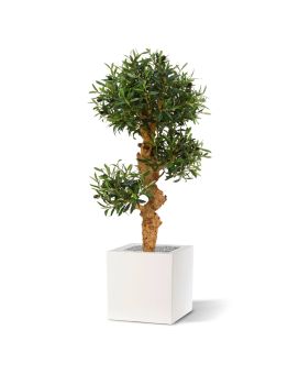 Árvore artificial de Bonsái de Oliveira sobre base 90cm