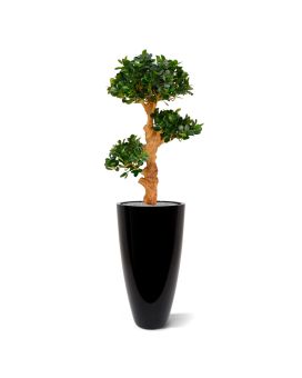 Panda Bonsai x3 árvore artificial sobre base 90cm