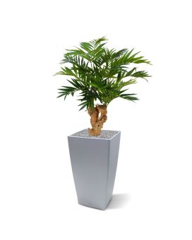 Palma artificial na base 65cm