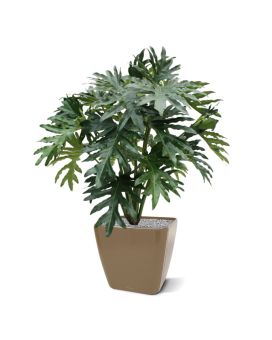 Philo Selloum planta artificial 100cm