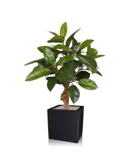Philodendron sobre planta artificial de base 70cm