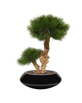 Pinus Bonsai árvore artificial sobre base 55cm - resistente aos raios UV