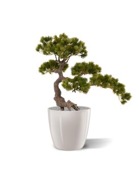 Pinho Artificial Bonsai 50x60 cm na base