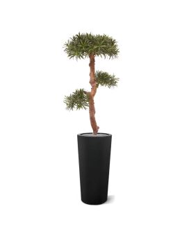 Podocarpus Bonsai árvore artificial 105 cm - resistente aos raios UV