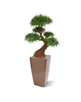 Podocarpus Bonsai planta artificial 90cm - resistente aos raios UV
