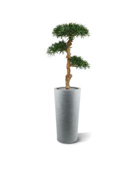 Podocarpus Bonsai Artificial 120 cm