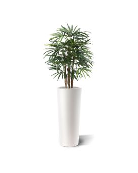 Raphis deluxe palma artificial 100cm