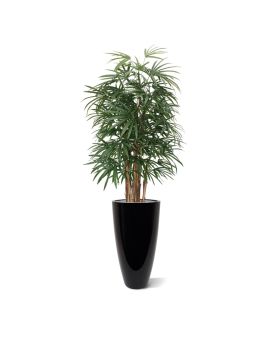 Palma artificial de luxo Raphis 160cm
