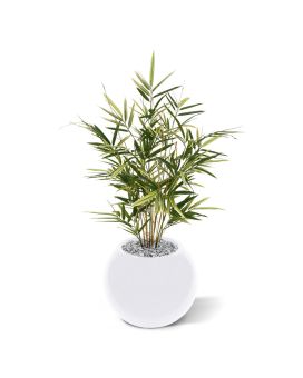Planta artificial de bambu real 70cm - variegado