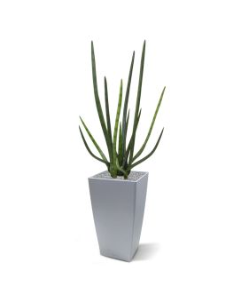 Sanseveria Cylindrica planta artificial 75cm - verde