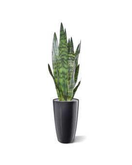 Sansevieria planta artificial 72 cm verde