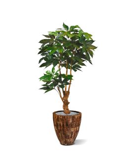 Scheflera Amate de luxo árvore artificial 165cm