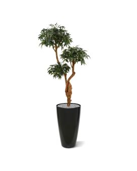 Shirakashi Layer deluxe x3 planta artificial 160cm